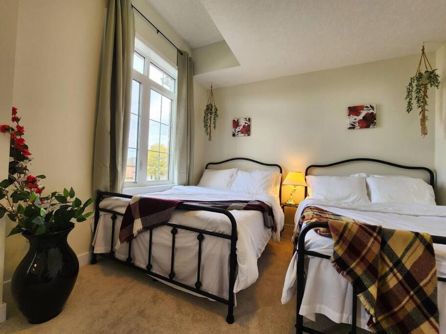 The Cozy Nest Villa Cambridge Ngoại thất bức ảnh